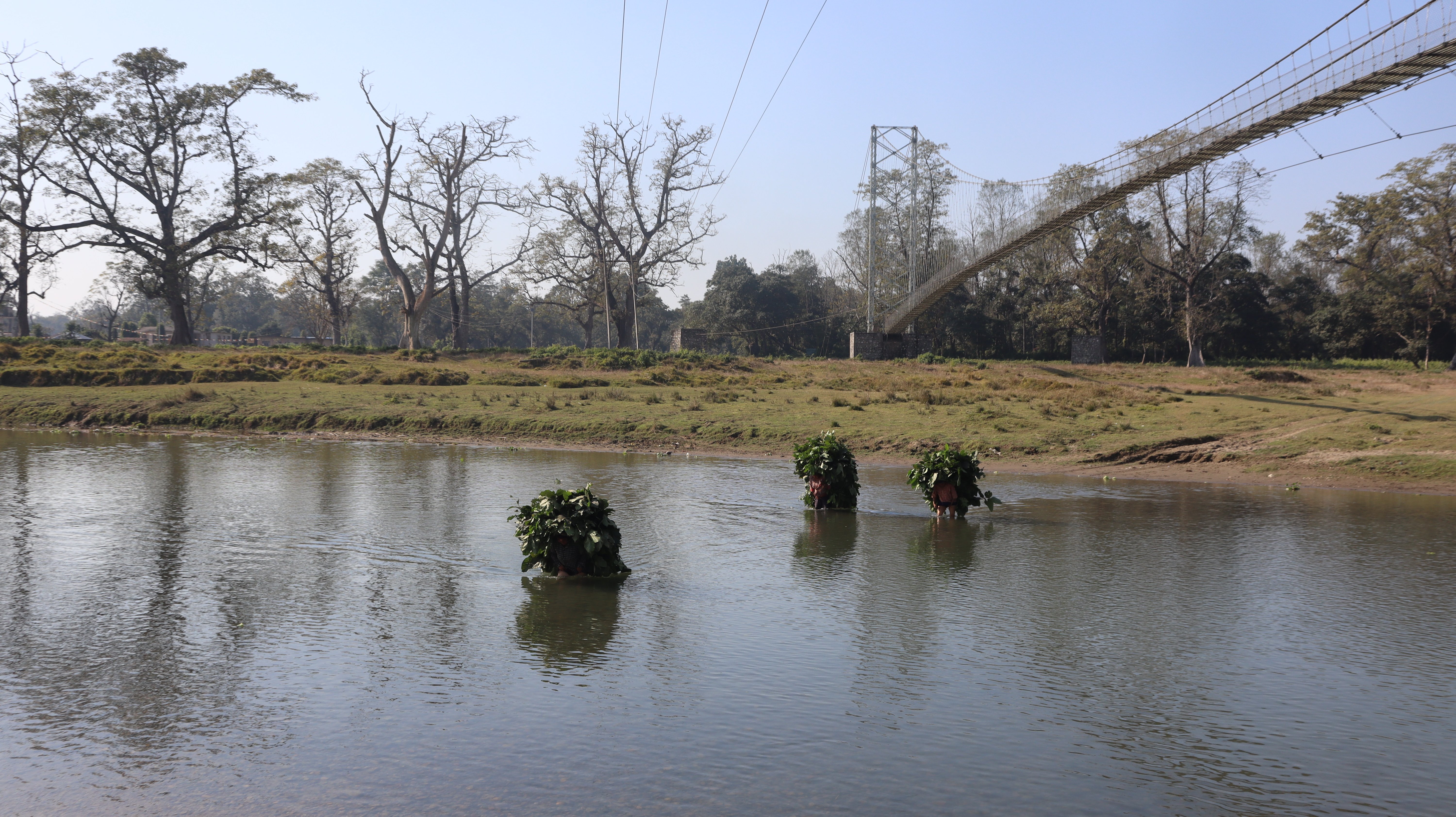 elephant chitwan (19).jpg